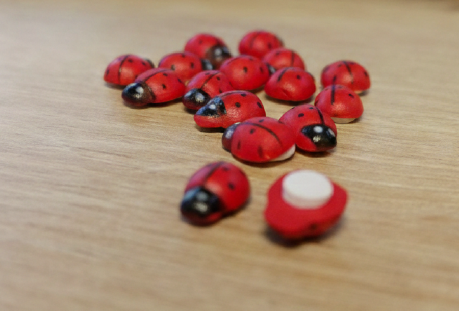 Mini Ahşap Uğur Böceği Süsleme Seti - El Yapımı Hobi ve Magnet Malzemesi 